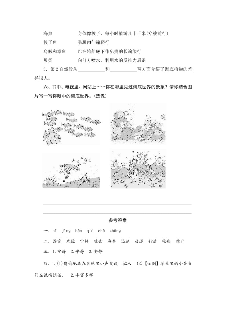 图片[3]-三年级语文下册23海底世界-我要学科网