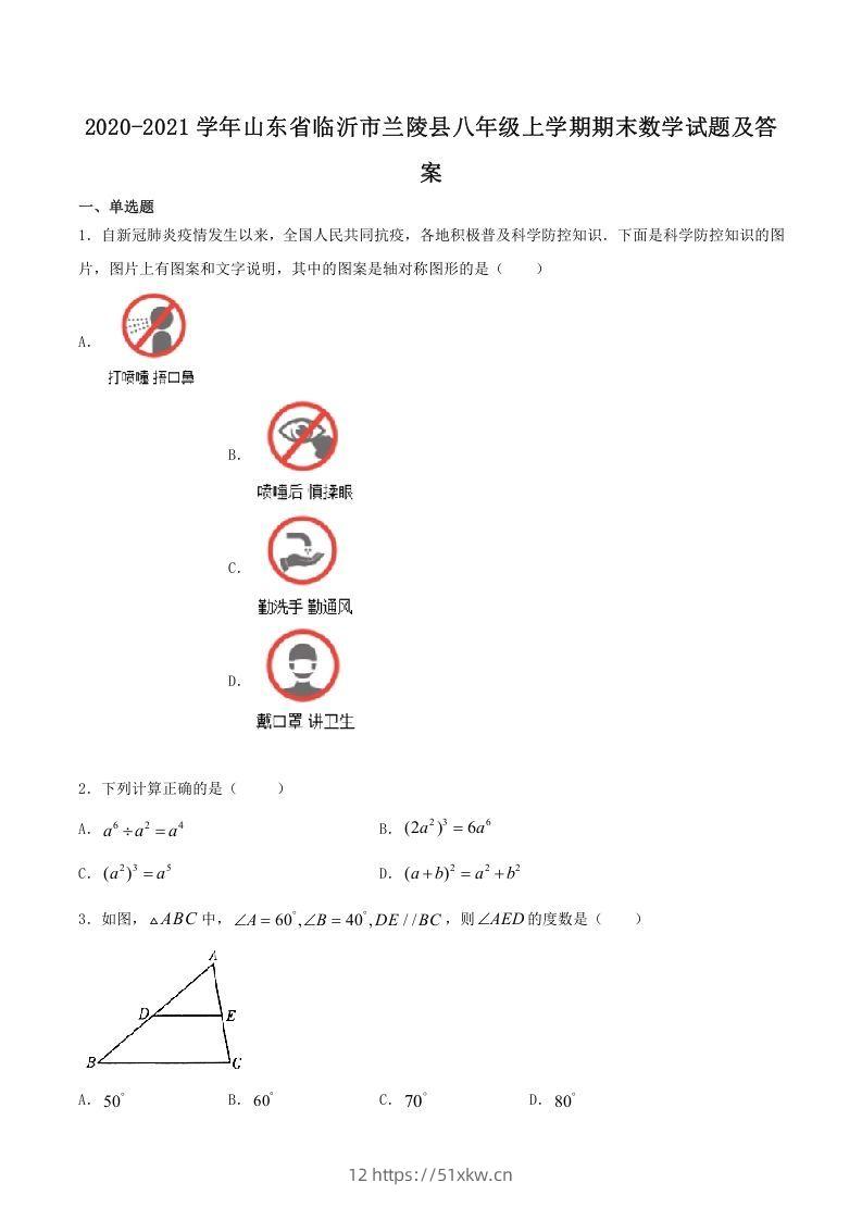 2020-2021学年山东省临沂市兰陵县八年级上学期期末数学试题及答案(Word版)-我要学科网