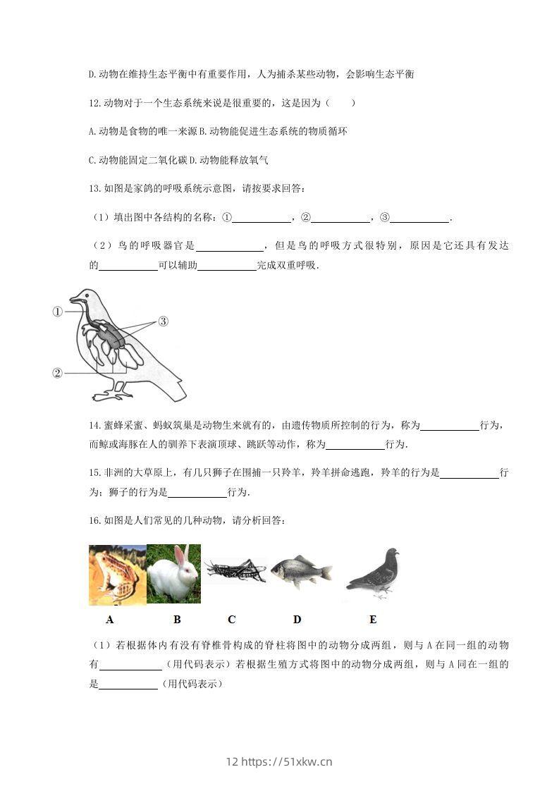 图片[3]-2020-2021学年湖北省黄冈市红安县八年级上学期期中生物试题及答案(Word版)-我要学科网