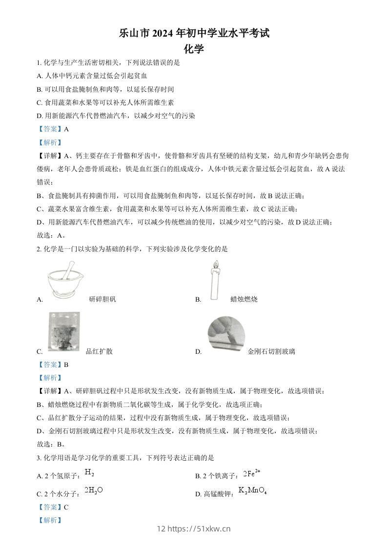 2024年四川省乐山市中考化学真题（含答案）-我要学科网